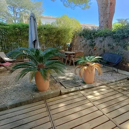 Magnificent Of 20 M With Terrace Apartament Bandol